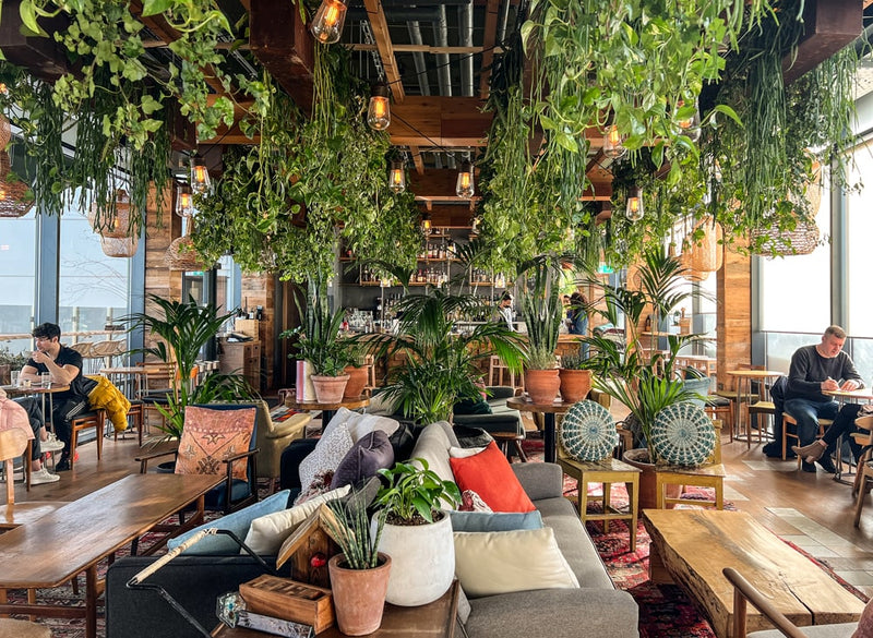 Treehouse hotel in London