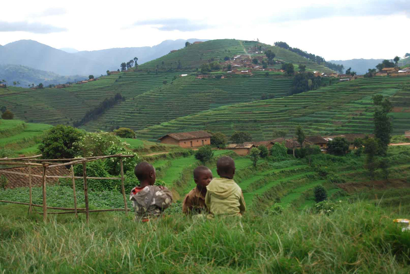 Going carbon neutral with Clean Cookstoves in Nyungwe Forest National Park, Rwanda