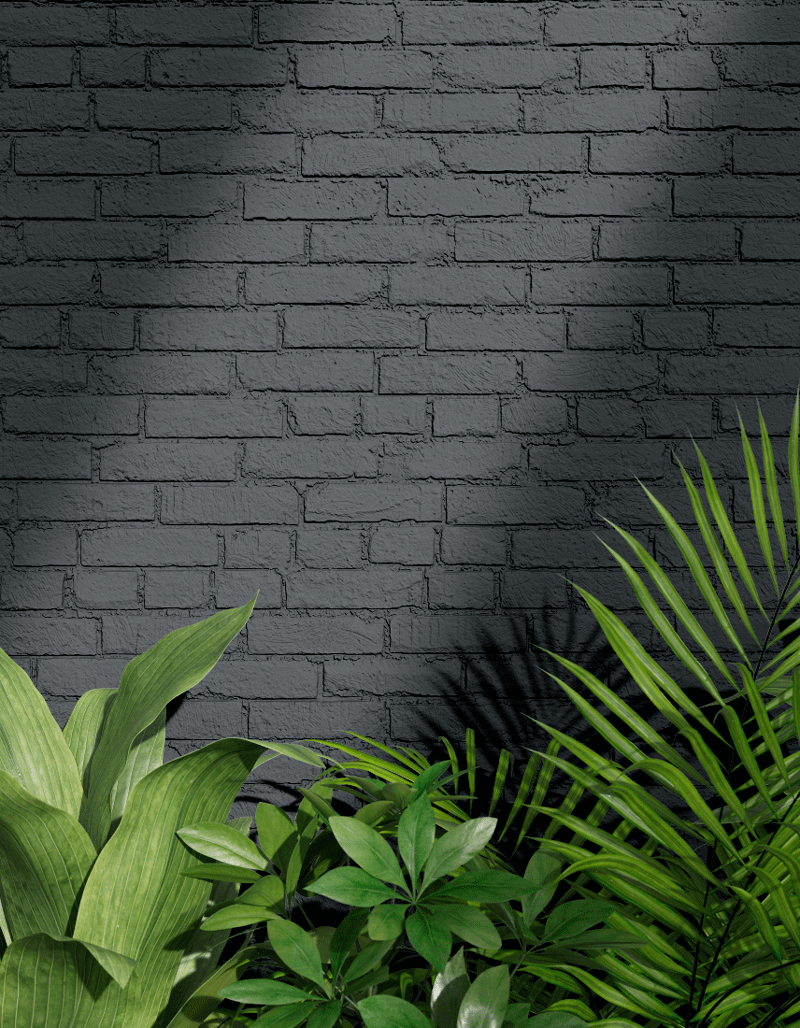 Black Exterior Paint
