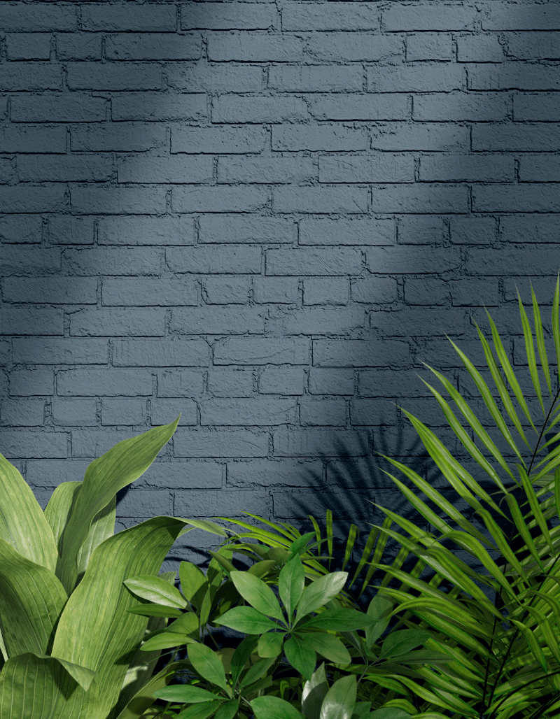 Blue Exterior Paint