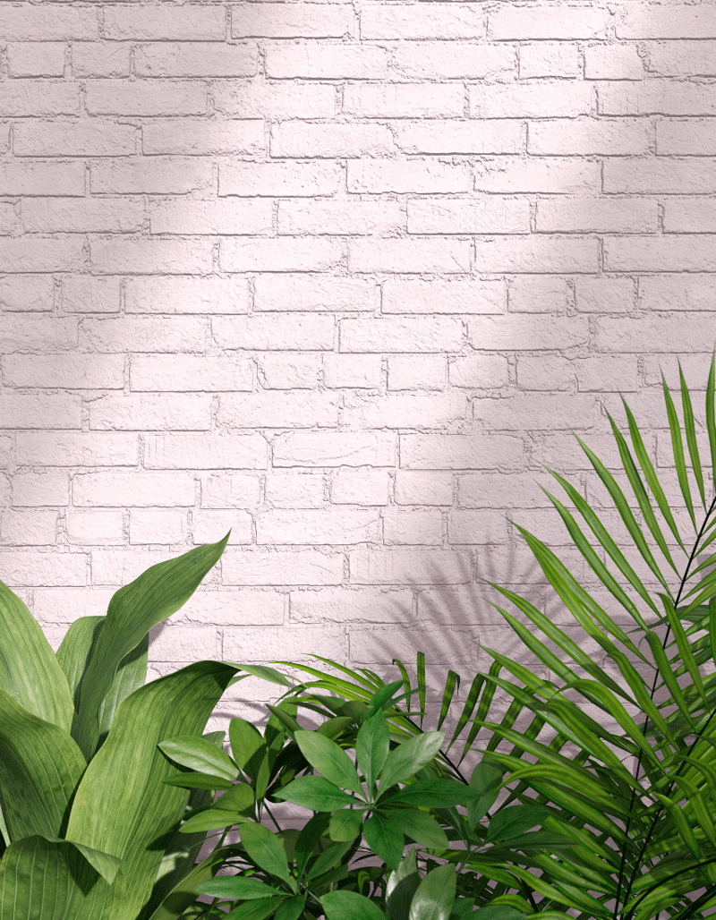 Pink Exterior Paint