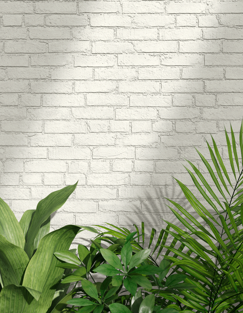 White Exterior Paint