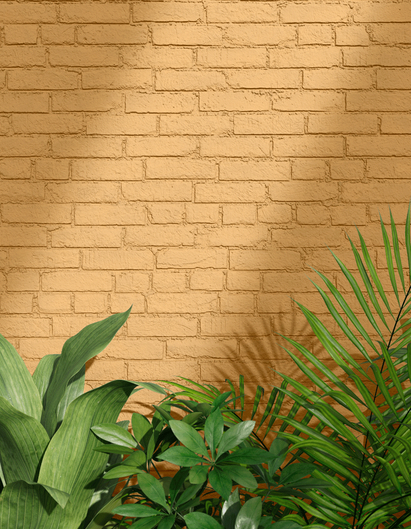 Yellow Exterior Paint