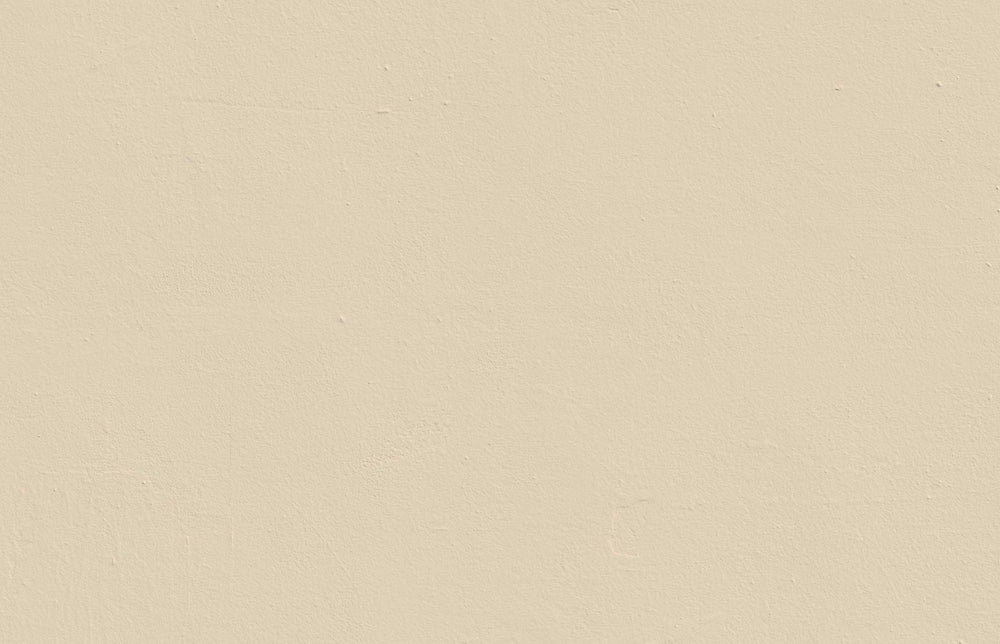 Beige Paint PLP