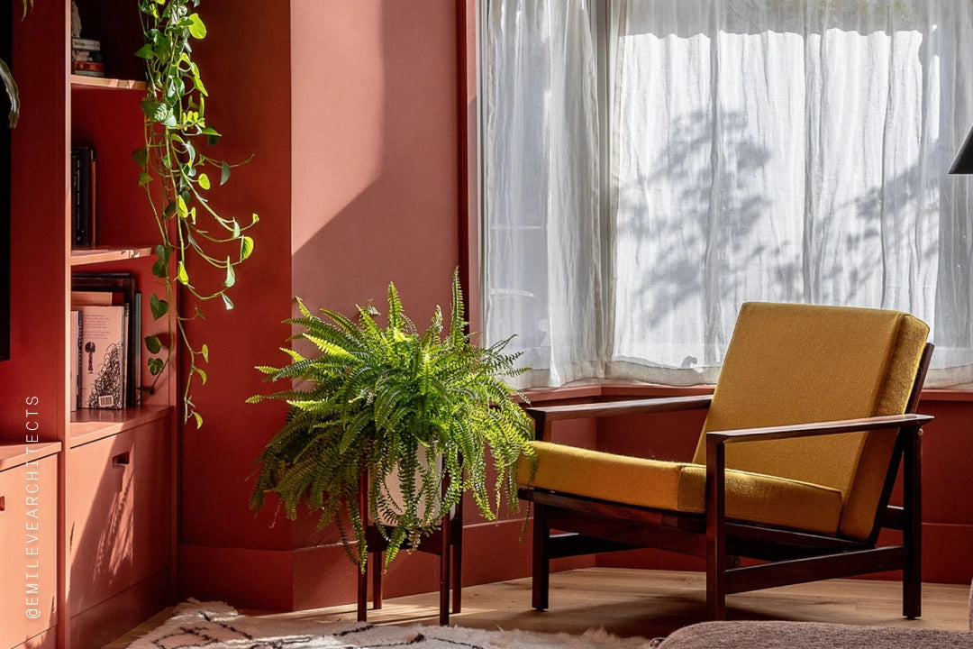 How to tell if your room is north, east, south or west facing