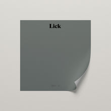 Load image into Gallery viewer, Grey 17