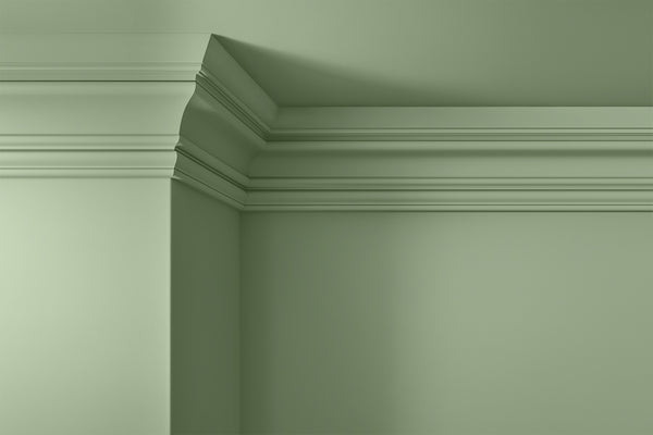 Walls, ceilings and coving painted in Lick Green 14
