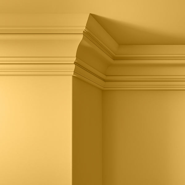 cmdyoatzczuv607ui5tbef23m.jpg