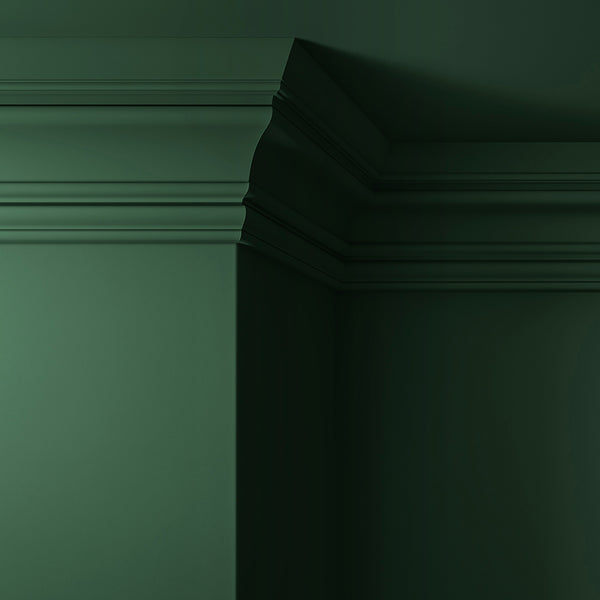 cmp5jtqtzc15607tftphke3sl.jpg