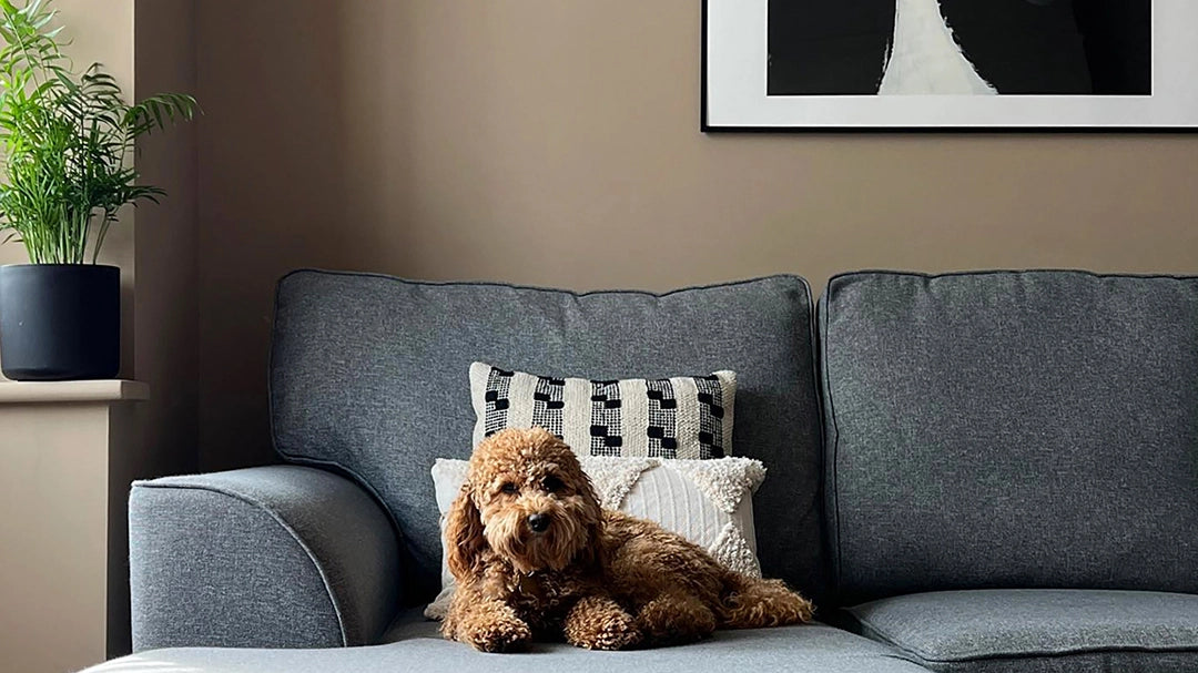Cosy & warm