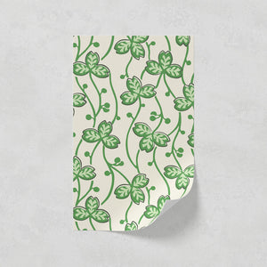 Clover 01