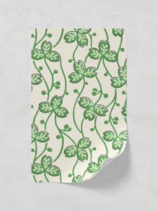 Clover 01
