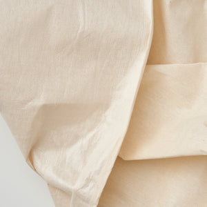 Decorators canvas dust sheet