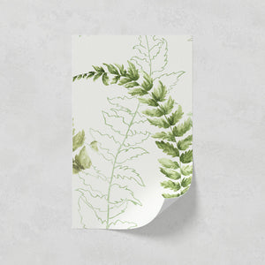 Fern 01