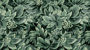 Foliage 01