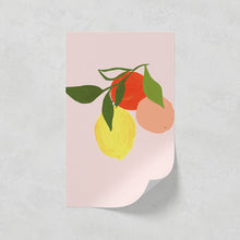Load image into Gallery viewer, Fruit 01