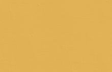Load image into Gallery viewer, Yellow 03