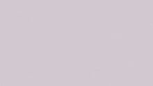 Load image into Gallery viewer, Purple 06